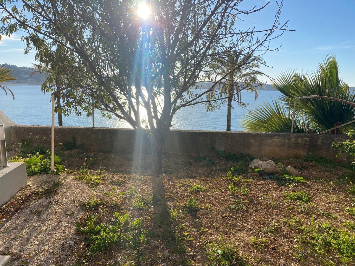 Splendide Studio Miramar Vue Mer Avec Terrasse Bandol Extérieur photo